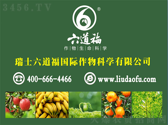 鍏亾绂?.jpg 鍏亾绂?.jpg